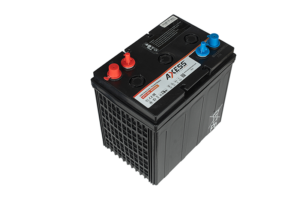 Axess Power Golf Cart Battery