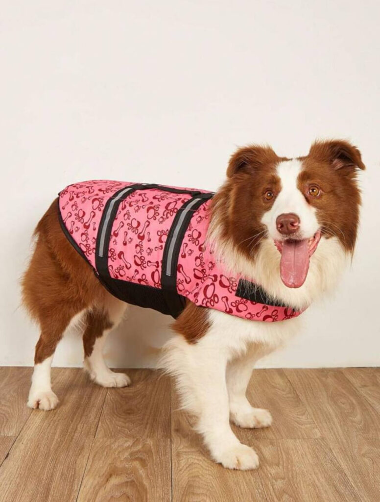 life jacket for dogs