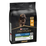 Pro Plan Healthy Start Large Robust Puppy