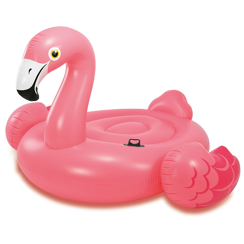 Pink flamingo