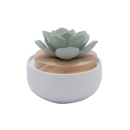 Aroma Porcelain Diffuser (Green Lotus)