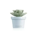 Aroma Porcelain Diffuser (Mini Succulent)