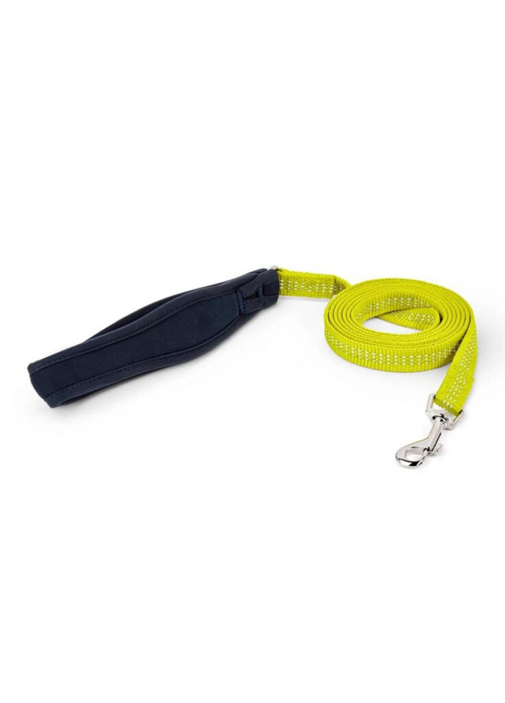 bungee dog leash with reflectors