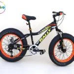 BICYCLE 20" BIG WHEEL RALLY