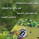 صورة مصغرة للمنتج 3