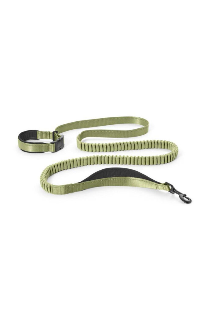 bungee dog leash