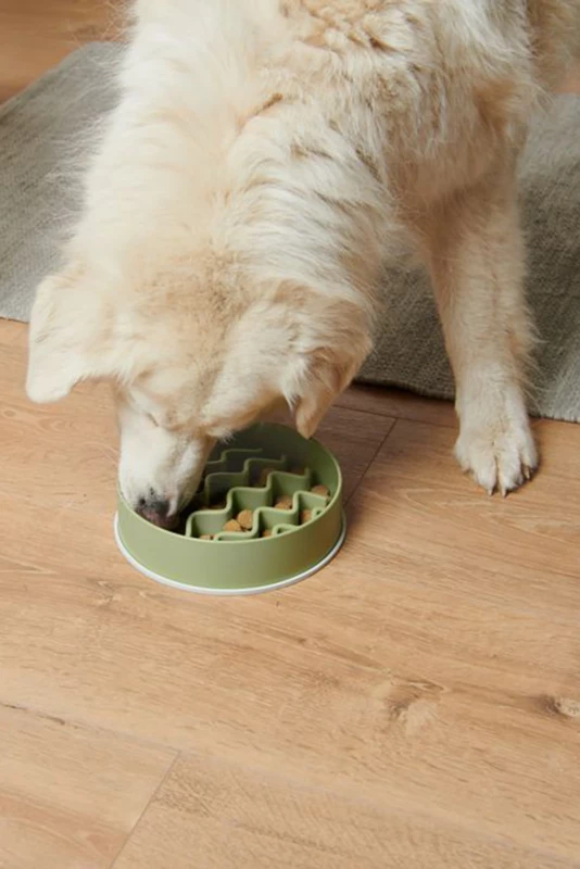Slow Feeder Dog Bowl