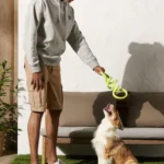 stretchable dog toy