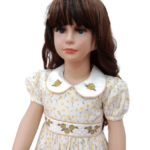 Baby dress with embroidered collar design