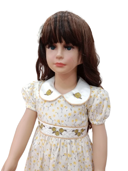 Baby dress with embroidered collar design