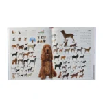 صورة مصغرة للمنتج 3