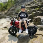 Electric bike for children – DLS-01