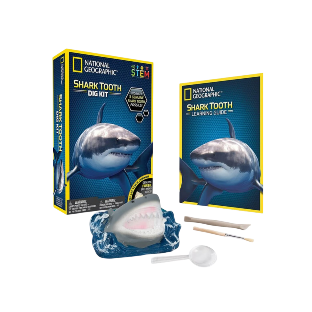 National Geographic Shark Tooth Dig Kit