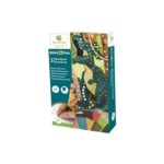 Sycomore 3 Mosaics Dinosaurs