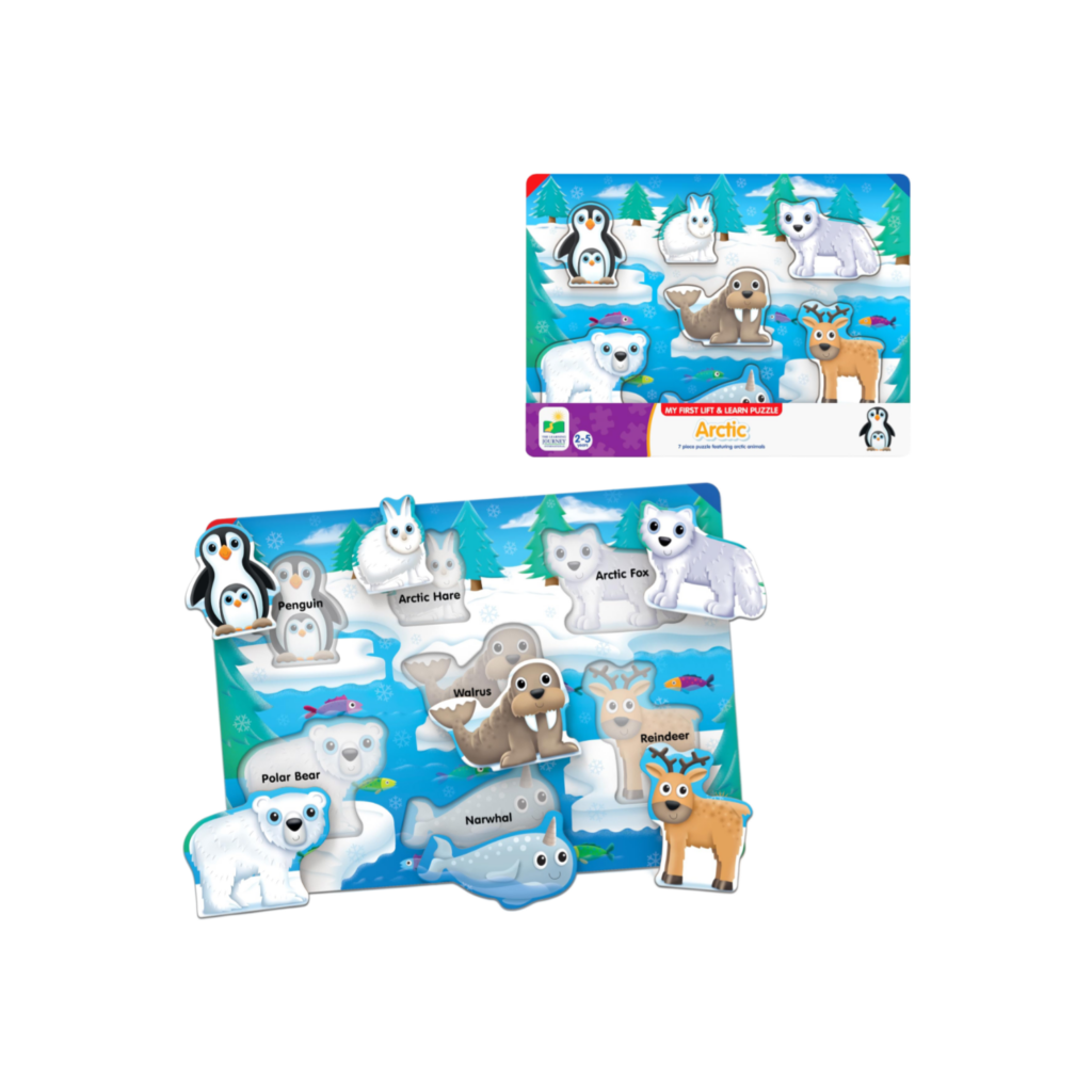 The Learning Journey My First Lift & Learn Artic