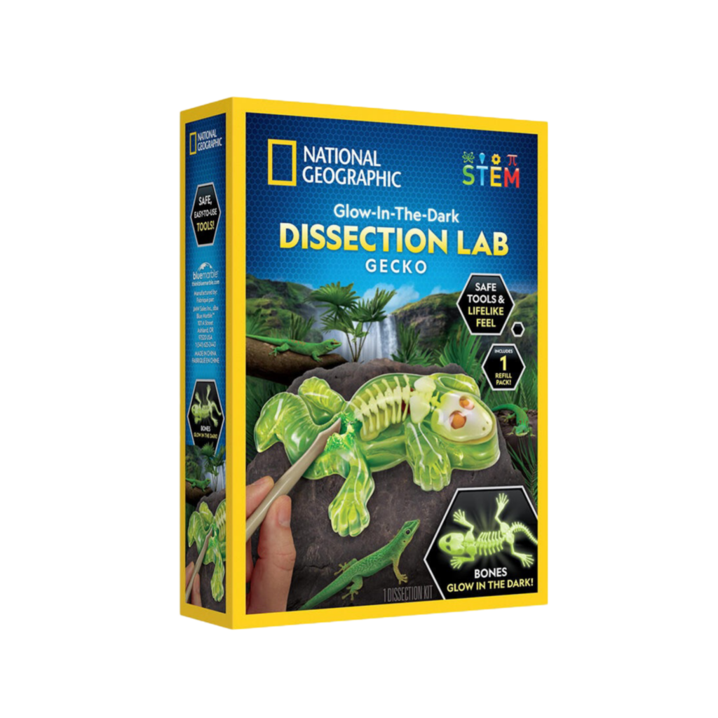 National Geographic Glow-In-The-Dark Gecko Dissection Lab
