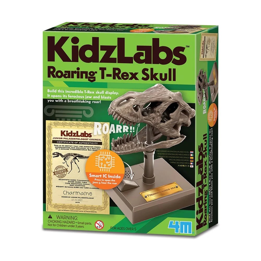 4M Kidzlabs Dino Skull