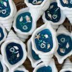 شمعة صدفة البحر