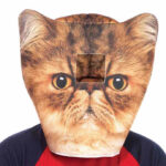 Fabric Angry Cat Mask