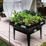 Medium Vegepod Stand