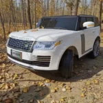 Product thumbnail 11