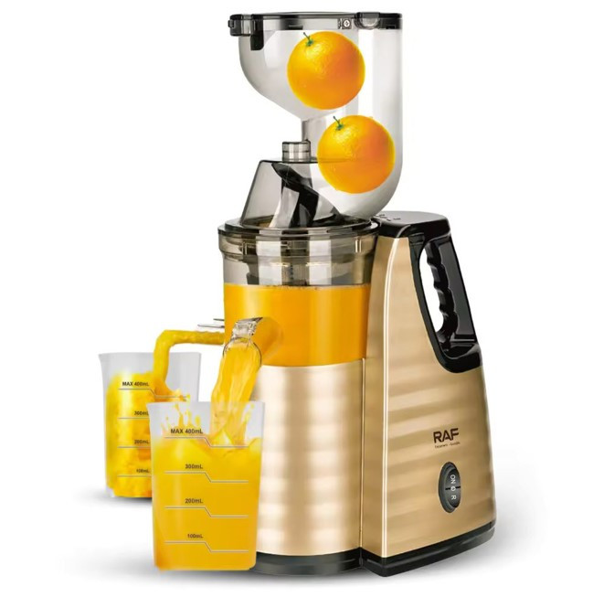 RAF Slow Juicer 150W, R.2838