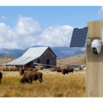 صورة مصغرة للمنتج 2